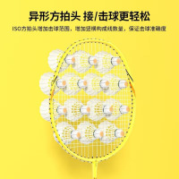 龙云天盾海绵超轻羽毛球拍进攻套装专业高级成人耐用耐打学生儿童 [三个尼龙球]5.8