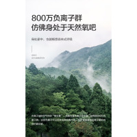 格力(GREE)[轻音小体积 空气净化]除湿机/抽湿机家用卧室客厅除湿器升级负离子净化适用面积24平DH12ENA1A
