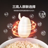 大松格力电饭煲微压4L双胆电饭锅4-5人家用IH加热精选智能多功能正宗煲仔饭吃光光 赤炎百香煲4009C