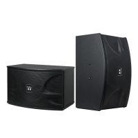 惠度(HuiDu)10吋卡包音响 FK-01 对