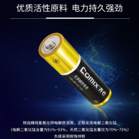 龙云天盾5号碱性电池 适用于儿童玩具/血压计/血糖仪/挂钟/键盘/遥控器等(4粒装)办公用品 C-504