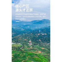 鼎铭香 福鼎白茶寿眉玉露茶饼350g/饼