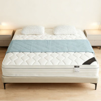 鼎南 床垫透气高弹力支撑单人宿舍办公午休 1*2m