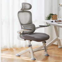 鼎南电脑椅716F PP+网布