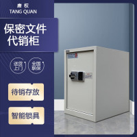 唐权(TANG QUAN)大唐保险柜 保密文件待销柜 DAT-650