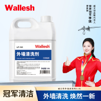 威立世Wallesh 外墙清洗剂3.8L