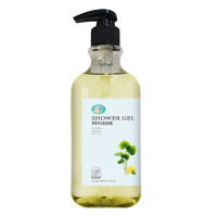 广洋(GUANGYANG) 积雪草水润 300ml 沐浴露 (计价单位:瓶) 黄色