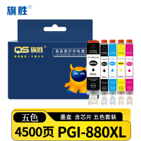 旗胜墨盒(适用CLI-881XL/TS9180/8180/6180)PGI-880XL五色/套