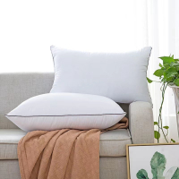 雅鹿家居 简约纯色成人单边羽丝绒枕 对枕枕芯 床上用品 白一对 48*74cm*2
