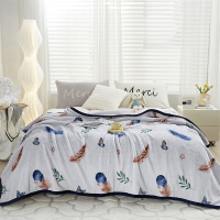 雅鹿云貂绒毛毯 加厚保暖双人盖毯 轻舞飞扬-白 YL5306