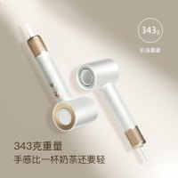 雷瓦(RIWA) 吹风机 网红款 家用冷热风 新款高速电吹风 RC-7533