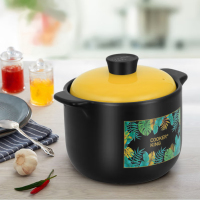 炊大皇 家味煲 陶瓷煲 煲汤煮粥TCX3852 个
