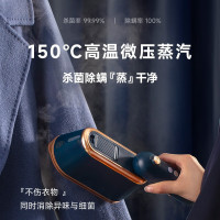 西屋 手持挂烫机家用熨烫机小型便携式旅游蒸汽熨斗迷你熨烫神器 普鲁士蓝 WGTS3 个