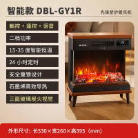 先锋(SINGFUN)石墨烯取暖器台地两用电暖器家用暖风机壁炉 LED数显屏离线语音木纹质感DBL-GY1R 1