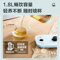 苏泊尔(SUPOR)养生壶家用花茶壶电水壶烧水壶开水壶保温煮茶壶玻璃茶壶燕窝 SW-18Y10