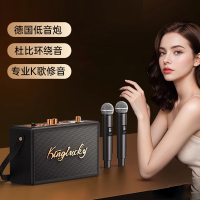 金运 户外蓝牙音箱S16双麦克 黑色