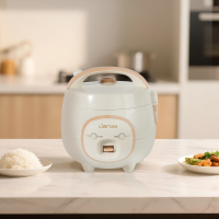 联创 家用电饭煲迷你电饭煲小型单人宝宝蒸煮米饭煲汤不粘锅 智能电饭煲DF-BL6068M