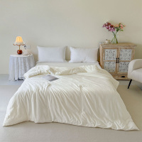 海螺 轻抚棉花冬被 JYMH-01 200cm*230cm