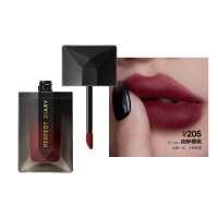 完美日记(PERFECTDIARY)锁色薄纱名片唇釉205