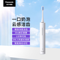 松下(Panasonic) 电动牙刷奶泡刷去渍护龈双效牙医推荐滑屏解锁控制电量长续航节日礼物 EW-DC20 个