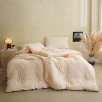 南方生活 抗菌向暖阳光被A类品质提花面料 200cm*230cm 3000g 条