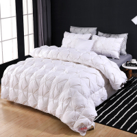 南方生活 奢华羽绒被全棉防羽布羽绒被 200*230cm 3250g 条