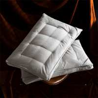 南方生活 蚕丝羽绒高枕 48*74cm 个