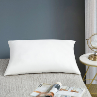 雅兰家纺 枕芯酒店枕头护颈枕头芯家用单个纯棉抗菌 酒店同款枕芯 单只 48x74cm