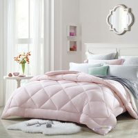 雅兰 家纺[线下同款]亲肤蓬松舒适舒馨亲肤被芯 抗菌远红外冬被芯(粉色) 1.5米(203*230cm)