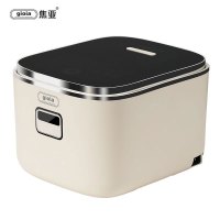 焦亚 IH电饭煲全钛内丹3L家用蒸煮智能电饭锅多功能锅球釜锅 焦亚全钛电饭煲 IHTD03