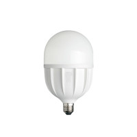 欧普(OPPLE) 心悦Ⅱ代-T100-30W-E27-6500K LED球泡 (计价单位:个) 白色