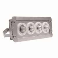 海洋王 NFE9121-GW 4W IP65 应急时间≥7h 220V 冷白 LED 应急低顶灯 (计价单位:盏) 银色