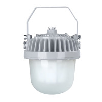 恒盛(HS) WF211D 60W、IP65、电压等级:AC220V、白光/约5700K、LED LED平台泛光灯 (计价单位:个) 灰色