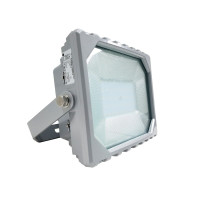 凯瑞(Cary) KLF5020 80W、IP66、100-277V、6000K、LED LED泛光灯 (计价单位:个) 灰色