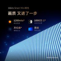 创维(SKYWORTH)L100D100英寸一级能效3840*2160240Hz电视机(计价单位:台)黑色