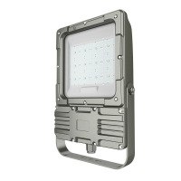 欧辉照明(OHUIZAOMIN) OHBF9193-100W AC220V白光/5700K LED防爆灯1盏/套单位:套 灰色