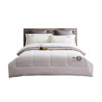 艾逸瑶选 佩蒂夏被150x200cm JF-24106 1.00 件/床 (计价单位:床) 蓝色