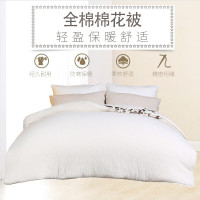 伊伊爱 BZ0TDC2100839 150*200cm 被芯 1.00 件/条 (计价单位:条) 御马天蓝