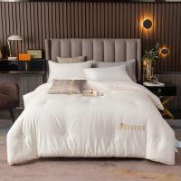 伊伊爱 BZ0TDC2100841 200*230cm 被芯 1.00 件/条 (计价单位:条) 御马豆沙