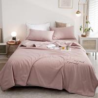 伊伊爱 BZ0BZF2100896 150*200cm小热芯 小热芯秋冬被 1.00 件/条 (计价单位:条) 灰色