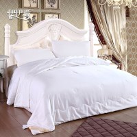 伊伊爱 BZ-8MHB-01 全棉棉花被芯 秋冬 150*200cm 棉被 (计价单位:件) 城市摩卡