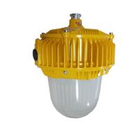 顶火 GMD8160-80W 防爆等级 Ex d IIC T6 Gb/Ex tD A21 IP66 T80℃ 防爆平台灯
