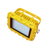 惠乐为 乐惠LB8028-50 85-265V 50W IP65 Ex d IIB T6 Gb LED防爆低顶灯 1.0