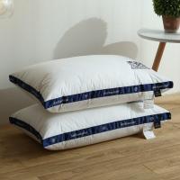 伊伊爱 ZX-9YSR-002 48*74cm 全棉白色酒店枕头 枕芯 1.00 件/个 (计价单位:个) 白色