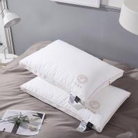 伊伊爱 ZX-9YSR-005 48*74cm 欧式羽毛枕头 枕芯 1.00 件/个 (计价单位:个) 白色
