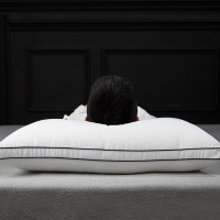 伊伊爱 ZXBHJC2000041 48*74cm 谊家云绒枕 高枕 1.00 件/只 (计价单位:只) 白色