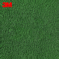 3M 6050 朗美圈丝地垫(不加边,不加字)60cm*90cm 地毯 (计价单位:个) 绿色