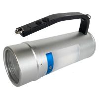 正辉(CHHI) BJW8311 DC22.2V 2*12W 防爆手提灯 (计价单位:盏) 银色