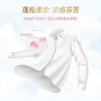 露丝 2kg瓶装 强效去渍花香型 洗衣液 (计价单位:瓶)
