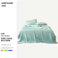 伊伊爱 BZ0TDC2401179 150*200cm/2.3斤 八星凉感提花大豆夏被 被子 1.00 件/条 (计价单